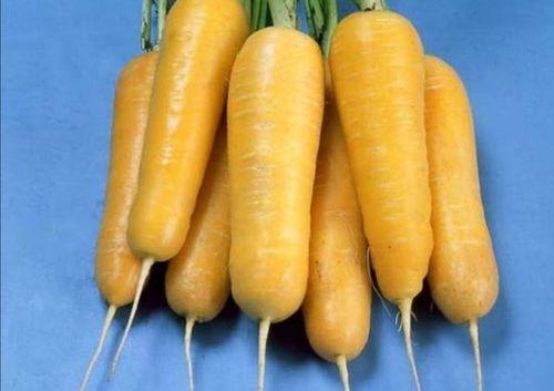 网红爽脆黄萝卜条图片,网红美食，清新口感，一尝倾心