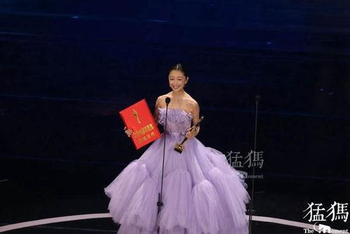 百花奖明星名单,盘点年度璀璨明星阵容