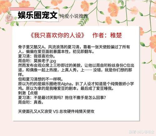 娱乐圈的一些爆料小说