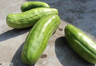 吃瓜材料,吃瓜群众眼中的明星幕后故事