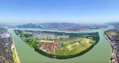 临渭区洛湾镇新闻头条,聚焦乡村振兴，共绘美好家园新画卷