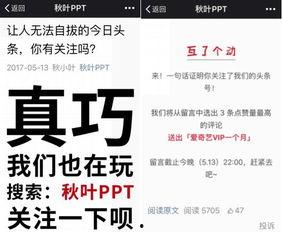 头条号自媒体人的名字,[名字]的精彩创作之路