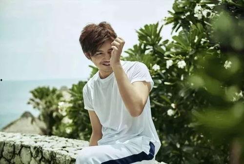 明星夫妇名单照片,镜头下的幸福时光