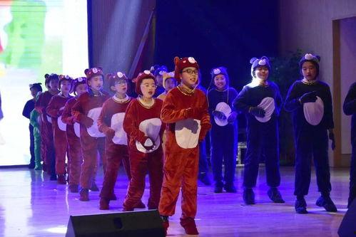 网红的才艺表演类别,网红们的多面魅力大揭秘