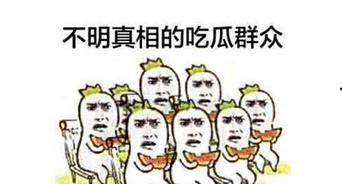 别人吃瓜群众,揭秘娱乐圈最新热点事件
