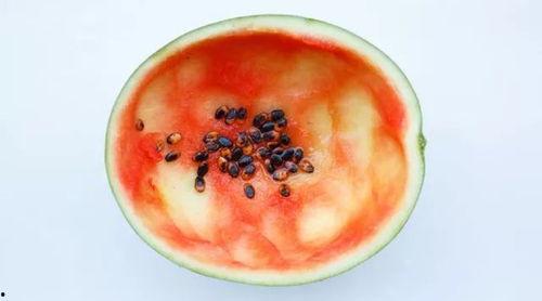 吃瓜q号包浆,揭秘网络红人的神秘魅力