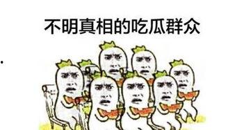 看热闹吃瓜文案句子