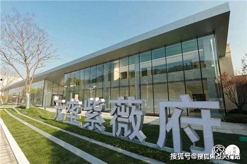 杨汛桥明星,揭秘明星背后的杨汛桥故事