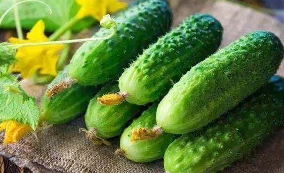 吃扶手瓜有没有危害,揭秘潜在危害与注意事项