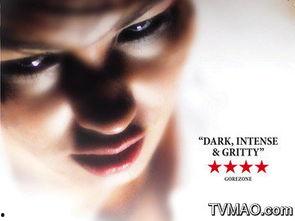 红色迷雾明星,探寻革命年代的传奇星辰