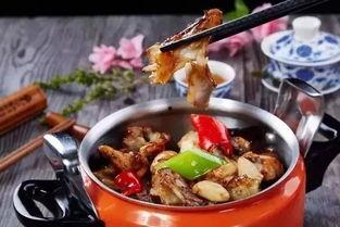 网红九妹煮菜头腩,九妹教你轻松烹饪美味煮菜头腩