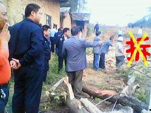 湘西龙山红网百姓呼声,聚焦民生热点，倾听群众心声