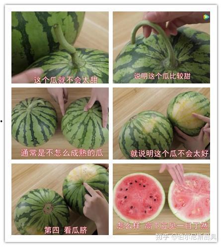 美丽吃瓜是真的吗,揭秘网络热传事件的真实性