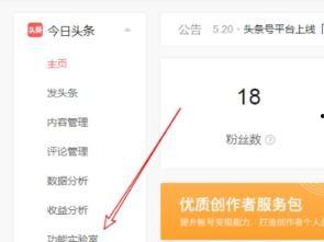 头条西瓜视频怎么开店铺,轻松开启头条西瓜视频店铺之旅