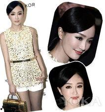 明星介绍可复制,揭秘明星们的闪耀人生