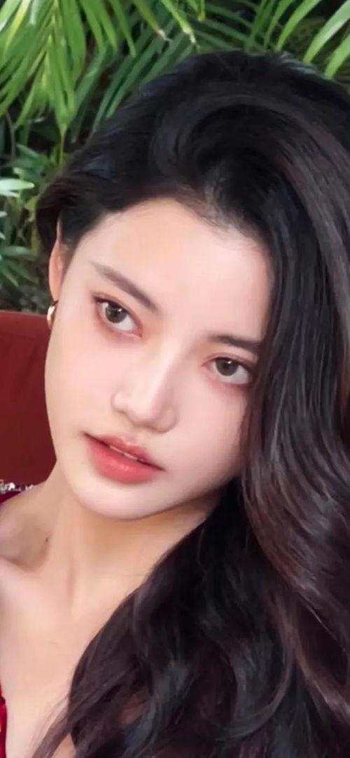 女明星全集下载