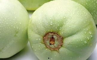 香瓜视频吃瓜,揭秘娱乐圈吃瓜背后的真相与趣味