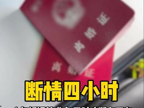 头条的计时挂件,轻松掌握时间，高效生活新选择”