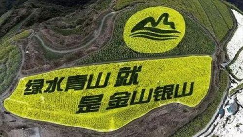 今日头条绿色矿山图片,生态与发展的和谐共生