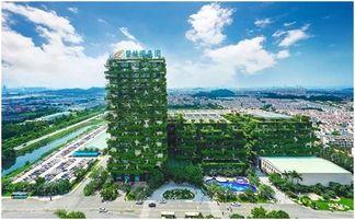 碧桂园网红总部大楼图片,现代建筑艺术与科技融合的视觉盛宴”