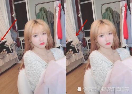 网红直播买衣服在哪里,揭秘热门服装购买新潮流