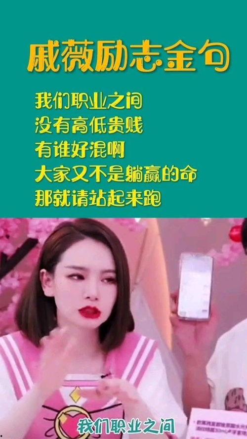 明星金句,明星金句背后的智慧与力量