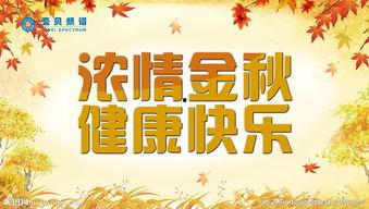 金秋套最新爆料图片大全,视觉盛宴，尽享时尚潮流盛宴