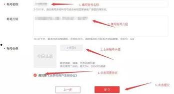 今日头条号怎么登录,轻松掌握账号登录技巧