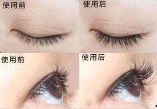 睫毛最长的人明星,揭秘睫毛最长明星的绝美风采