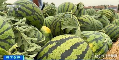 吃瓜视频最全观看微山,一网打尽热门话题，尽享视觉盛宴