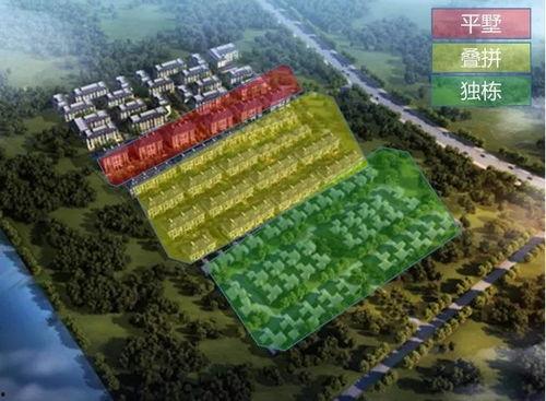 实体网红店铺优缺点分析,揭秘实体店的新趋势